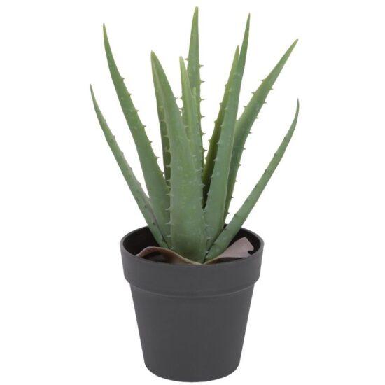 Umělá květina Kave Home Aloe Vera